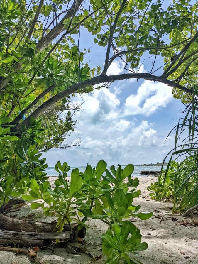 Dhoadhi Retreat Hotell Thulusdhoo Exteriör bild
