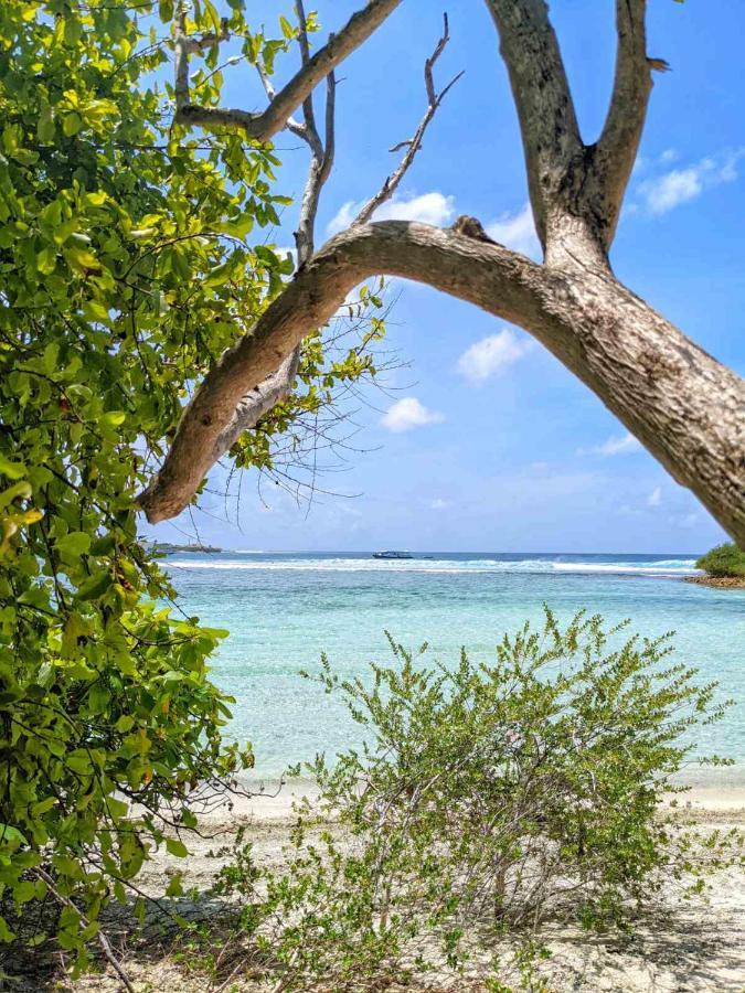 Dhoadhi Retreat Hotell Thulusdhoo Exteriör bild